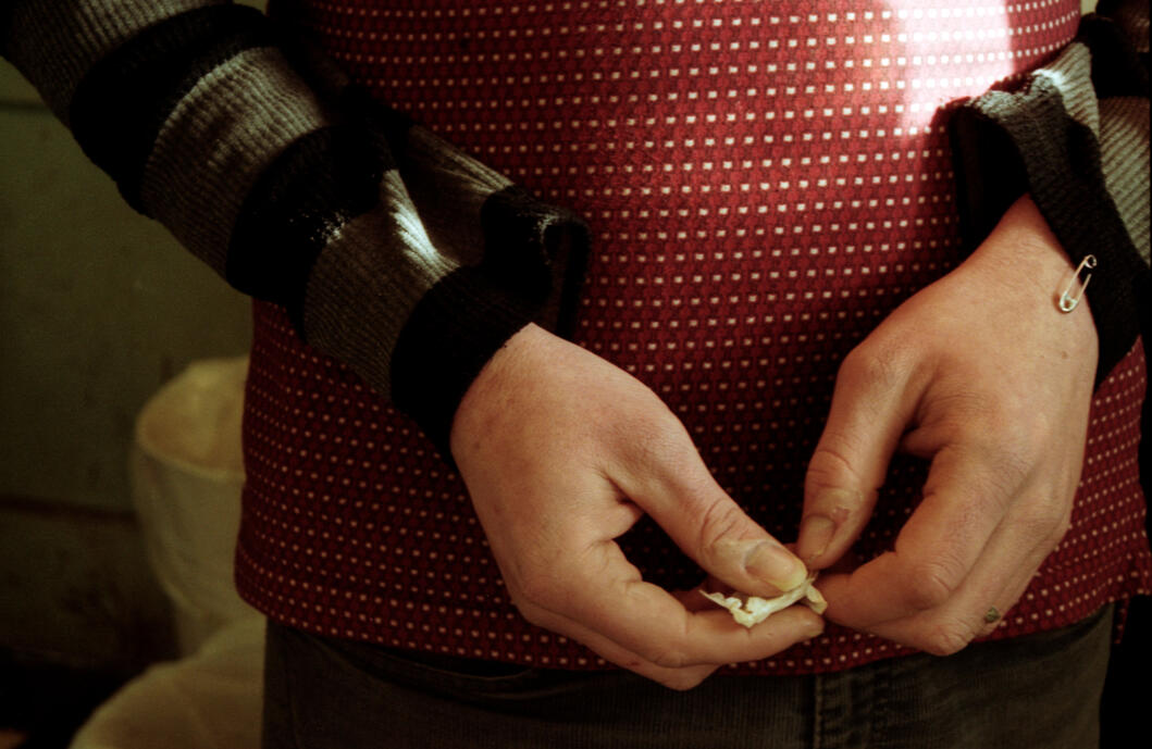 Colby with garlic, Spillage Home for Wayward Youth, Athens, Georgia, 24 Feb. 2010