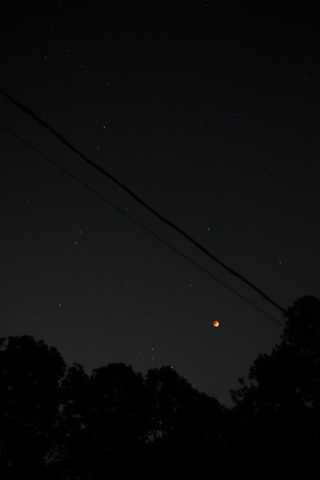 Blood Moon Total Lunar Eclipse, Athens, Georgia, 16 May 2022