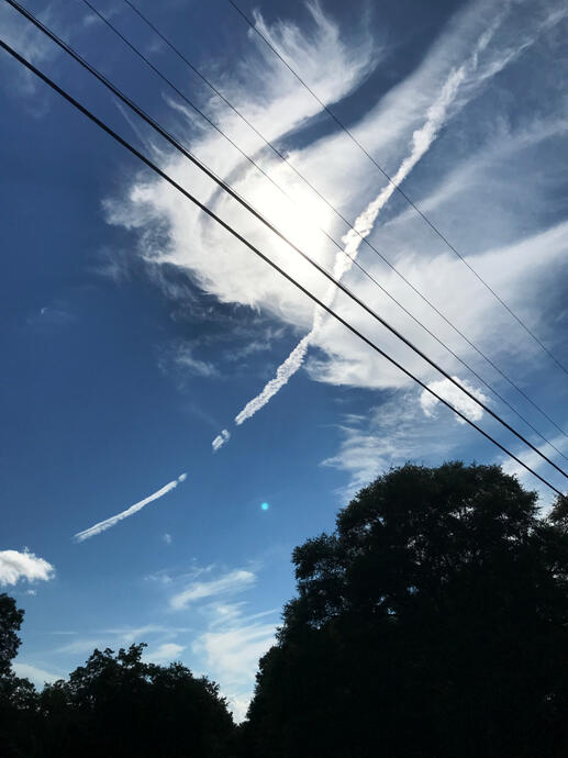 Athens, Georgia, 21 July 2021