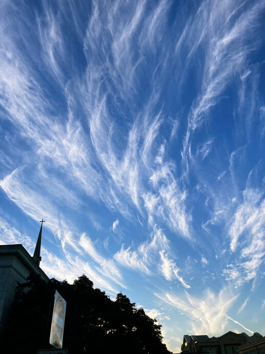 Downtown Athens, Georgia, 8 Nov. 2024