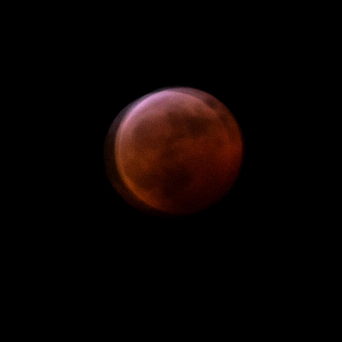 Super Blood Wolf Moon Lunar Eclipse, Athens, Georgia, 21 Jan. 2019