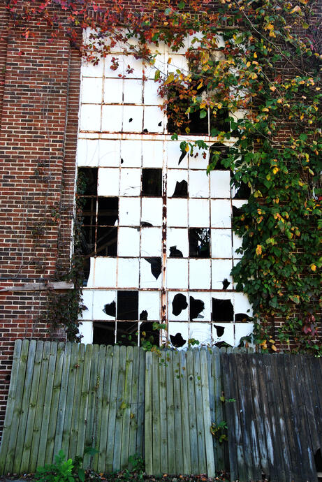 Abandoned factory (Bending Works? Chair Co.?), Fort Massac State Park, Metropolis, Illinois, 19 Oct. 2015