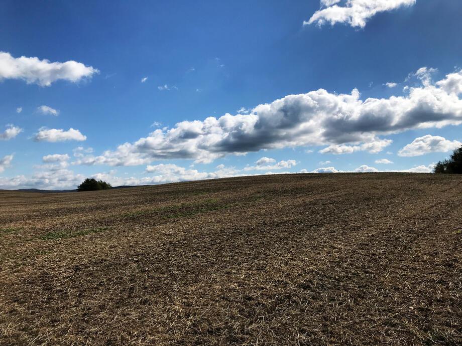 Behind Sw Jozefa Cmentarz / St. Joseph Cemetery, Everson, Pennsylvania, 18 Oct. 2021