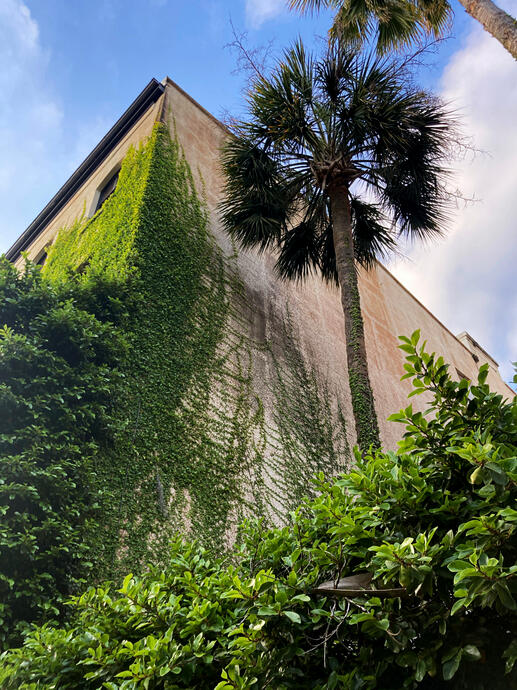 Near the Sorrel-Weed House, Savannah, Georgia, 18 Apr. 2025