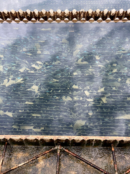 JG Beacham Drinking Water Treatment Plant, Athens, Georgia, 3 May 2025